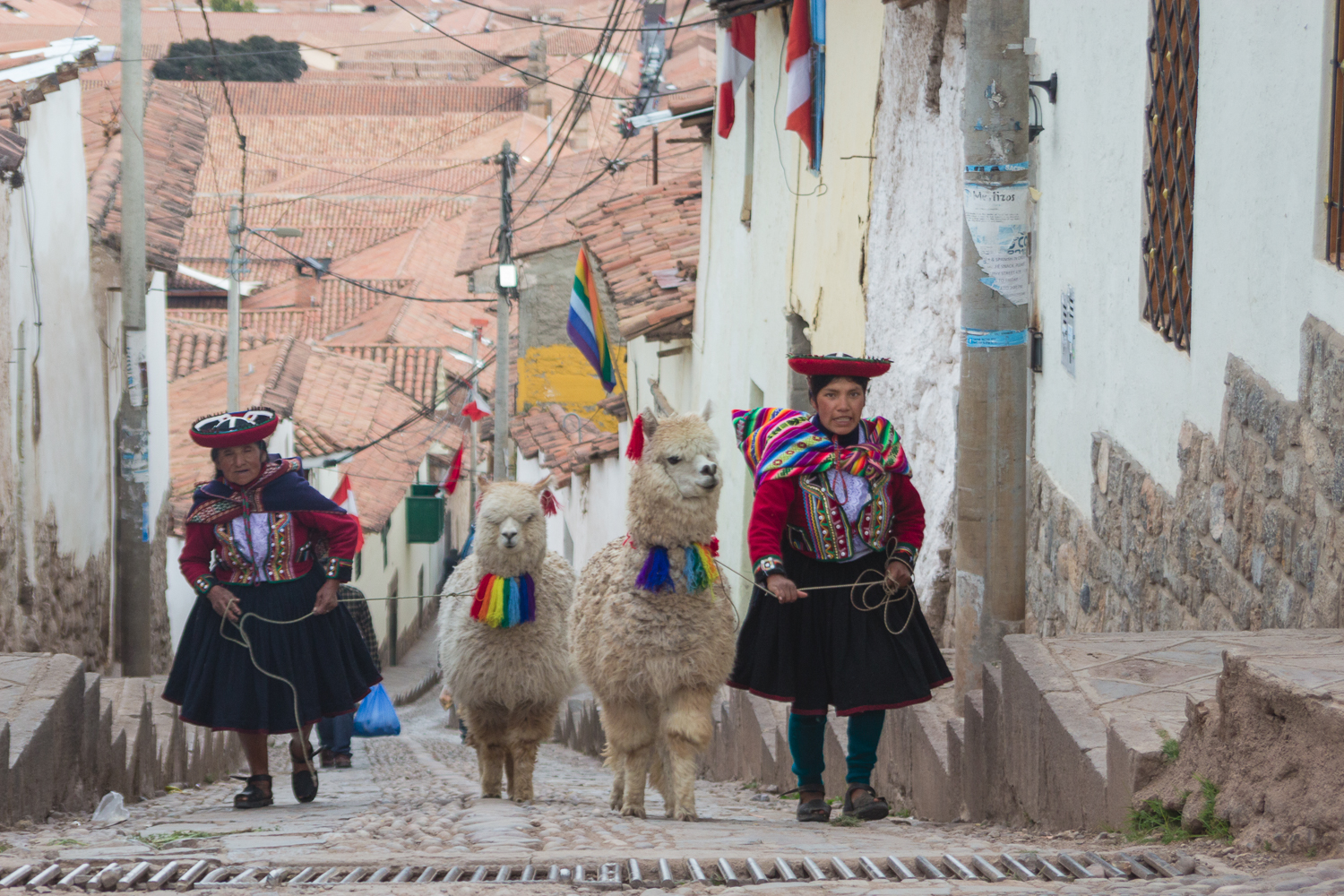 Deux femmes en costumes traditionnels et lamas dans les rues de Cusco, Pérou