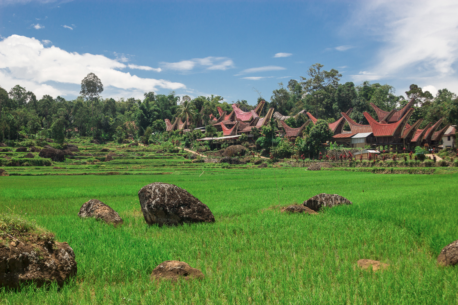 Village du pays Yoraja, Sulawesi, Indonésie