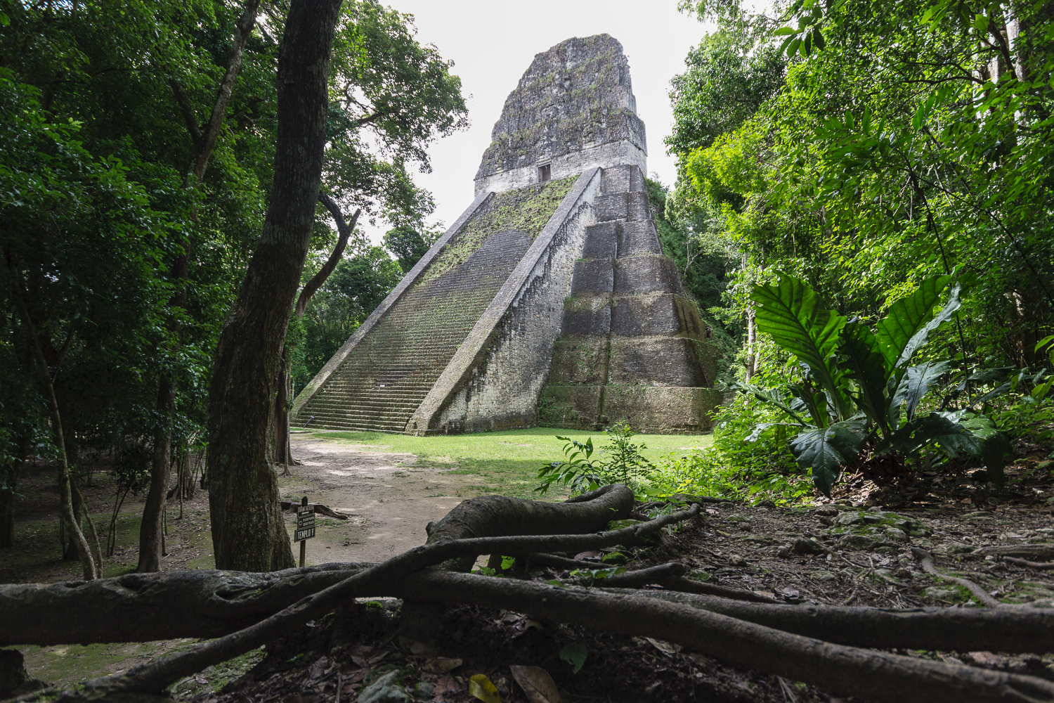 Pyramide de Tikal, Guatemala