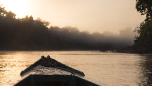 Pirogue sur le rio tembopata, Amazonie, pérou
