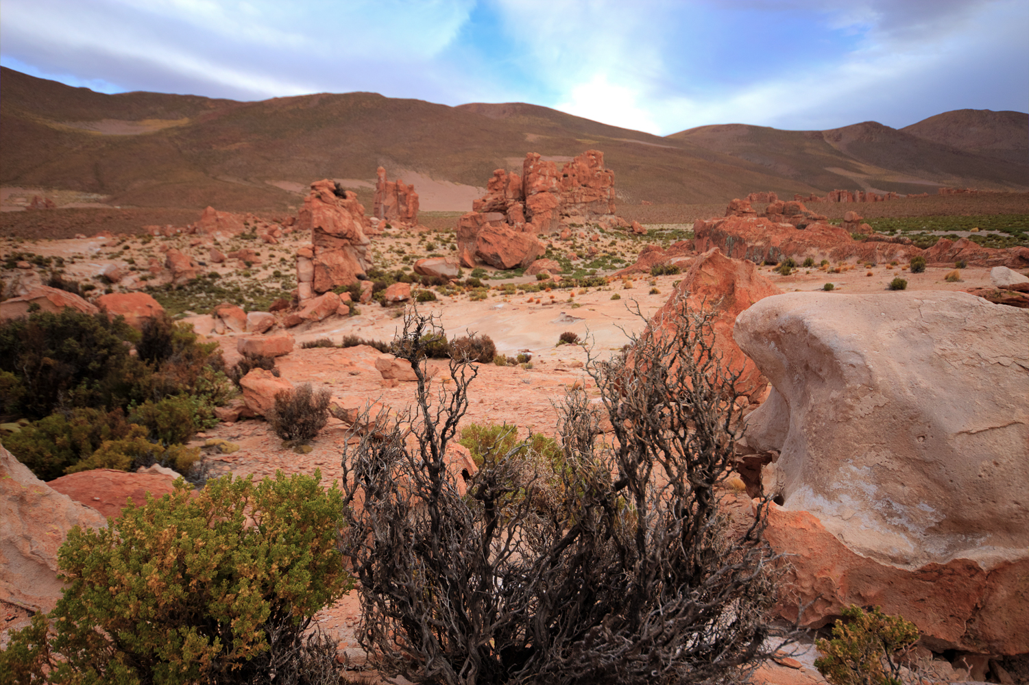 Paysage désertique du Sud Lipez, Bolivie