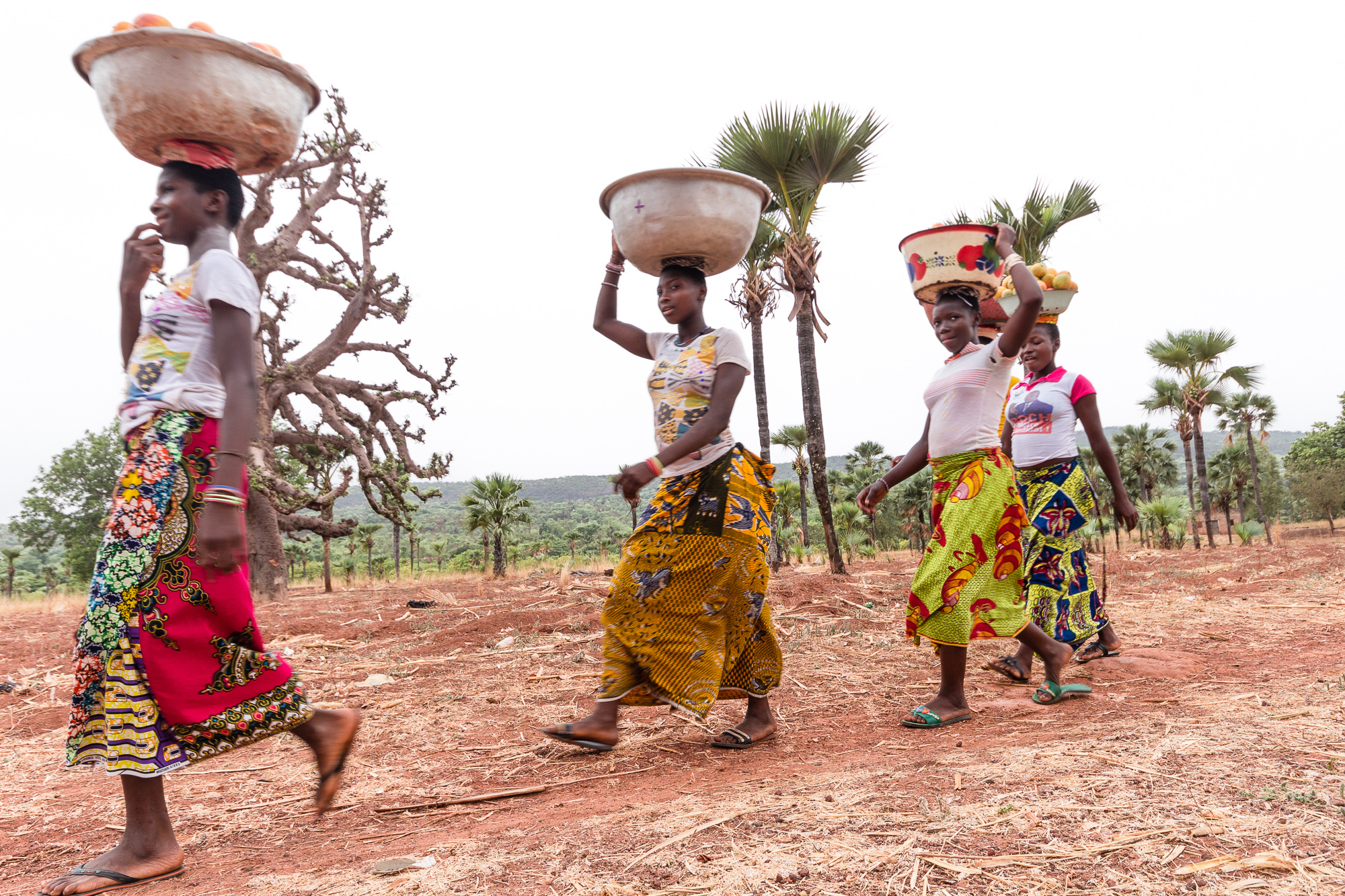 Porteuses de mangues dans la région de Banfora, Burkina Faso