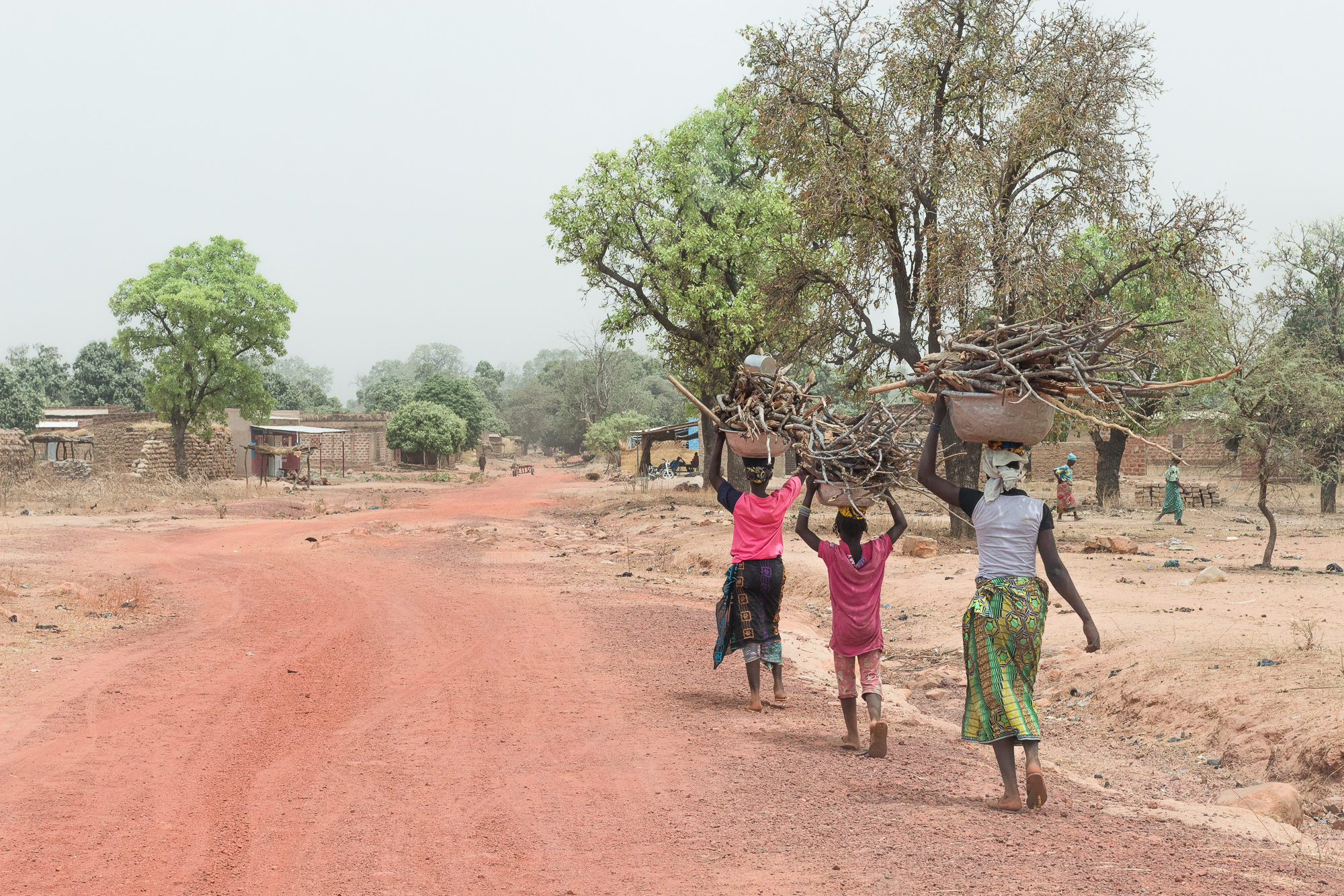 Femmes portant du bois sur leurs têtes sur la route de la mare de Bala, Burkina Faso