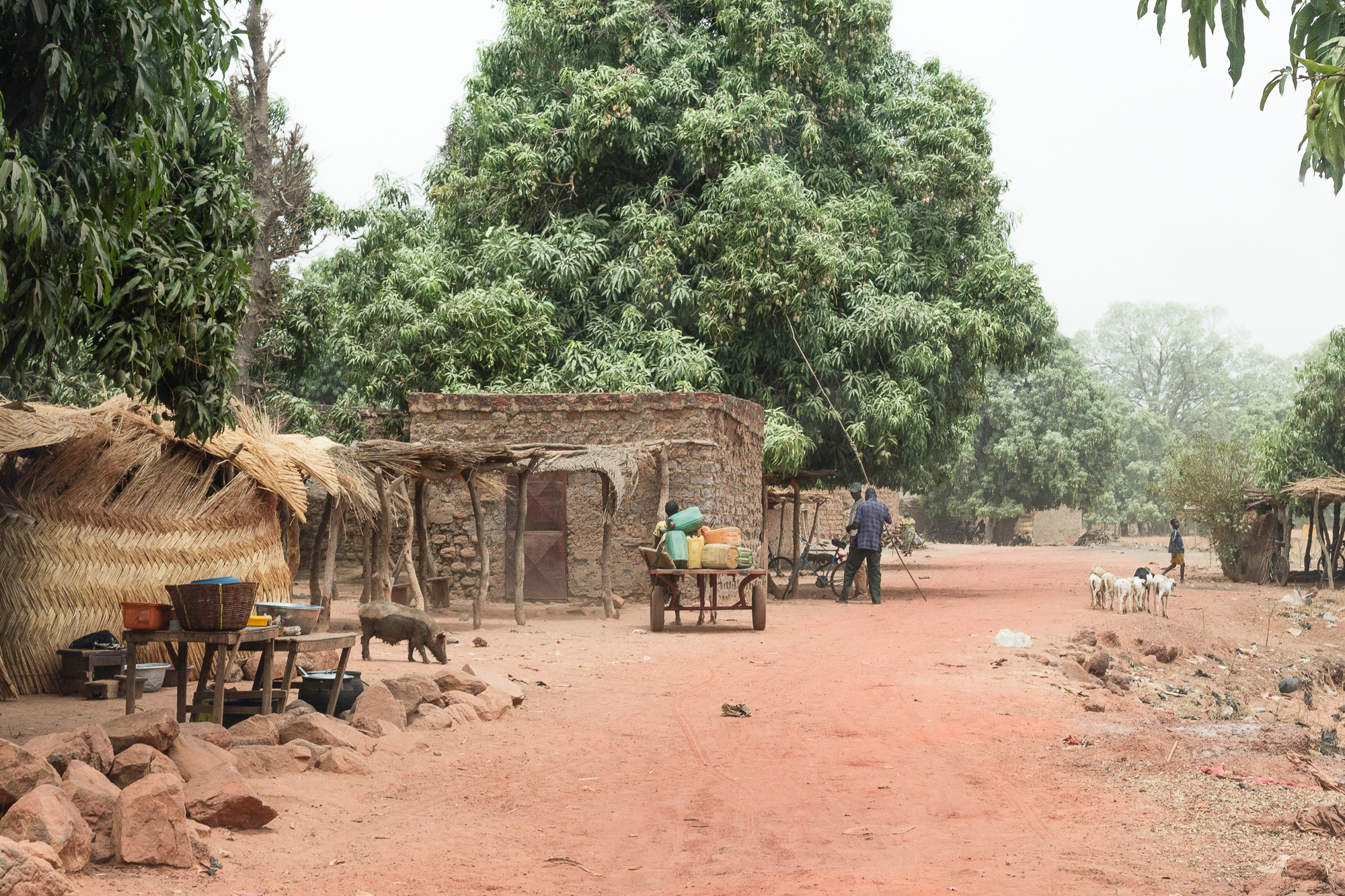 Village sur la route de la mare de Bala, Burkina Faso
