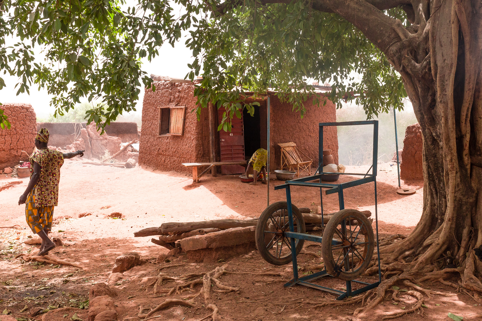 Habitant de Koumi désignant une case de banco au pied d'un ficus, village traditionnel Bobo de Koumi, Burkina Faso