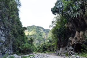Paysage de sorgues de Basalte, Chemin Dassy, Réunion