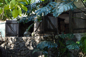 Case créole sous la végétation, village des Engagés malgaches, Vieux Domaine, Réunion
