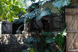 Case créole sous la végétation, village des Engagés malgaches, Vieux Domaine, Réunion