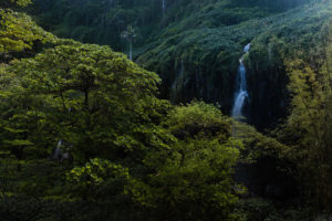 cascades dans la végétation, anse des cascades, la réunion