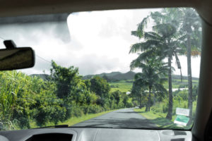 sur la route de l'anse des cascades, la réunion