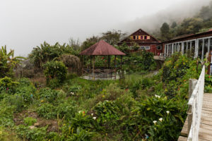 jardin la nouvelle