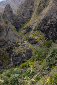 Végétation et remparts de mafate, la reunion