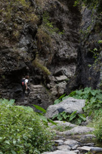 Randonneur au mileu de la végétation de Mafate, montant les marches de la canalisations des Orangers, La Réunion