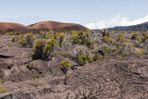 cratère formica leo depuis le chemin