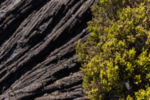 végétation et texture piton de la fournaise