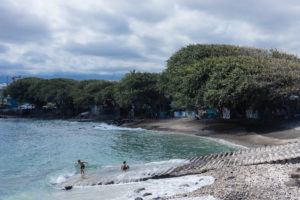 plage de Terre Sainte et banians, saint pierre, la réunion