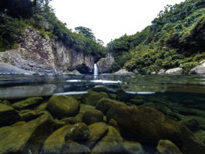 vue semi immergée bassin la Mer la reunion