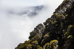 ascension piton des neiges brume