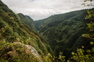 vue rivière saint denis réunion