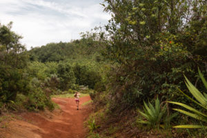 chemin terre orange reunion