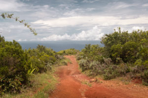 chemin de terre rouge reunion