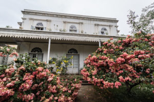 maison repiquet fleurs