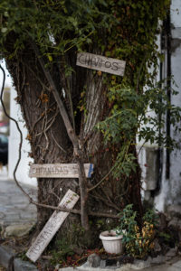 arbre panneaux colonia del sacramento