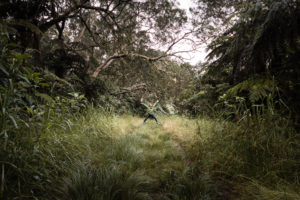 chemin belouve tamarins des hauts