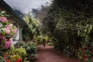 maison folio jardin