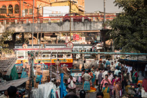 jungle urbaine calcutta