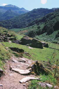 carcasse de vache chemin lac d'arlet