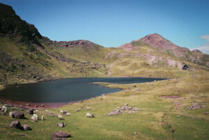 lac d'arlet refuge et moutons en estive