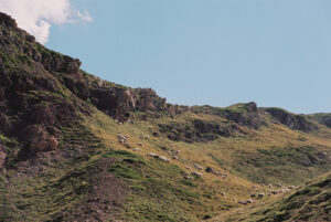 montagne banasse paturages