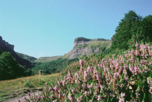 bruyères Pyrénées