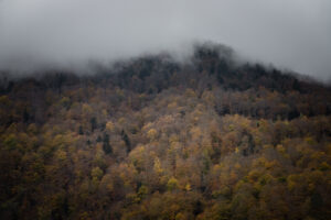 montagne automne brume