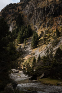 lutour pyrénées