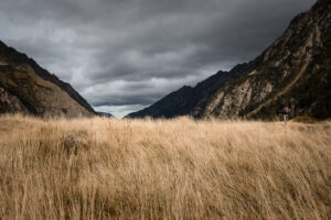 rive lac d'estom