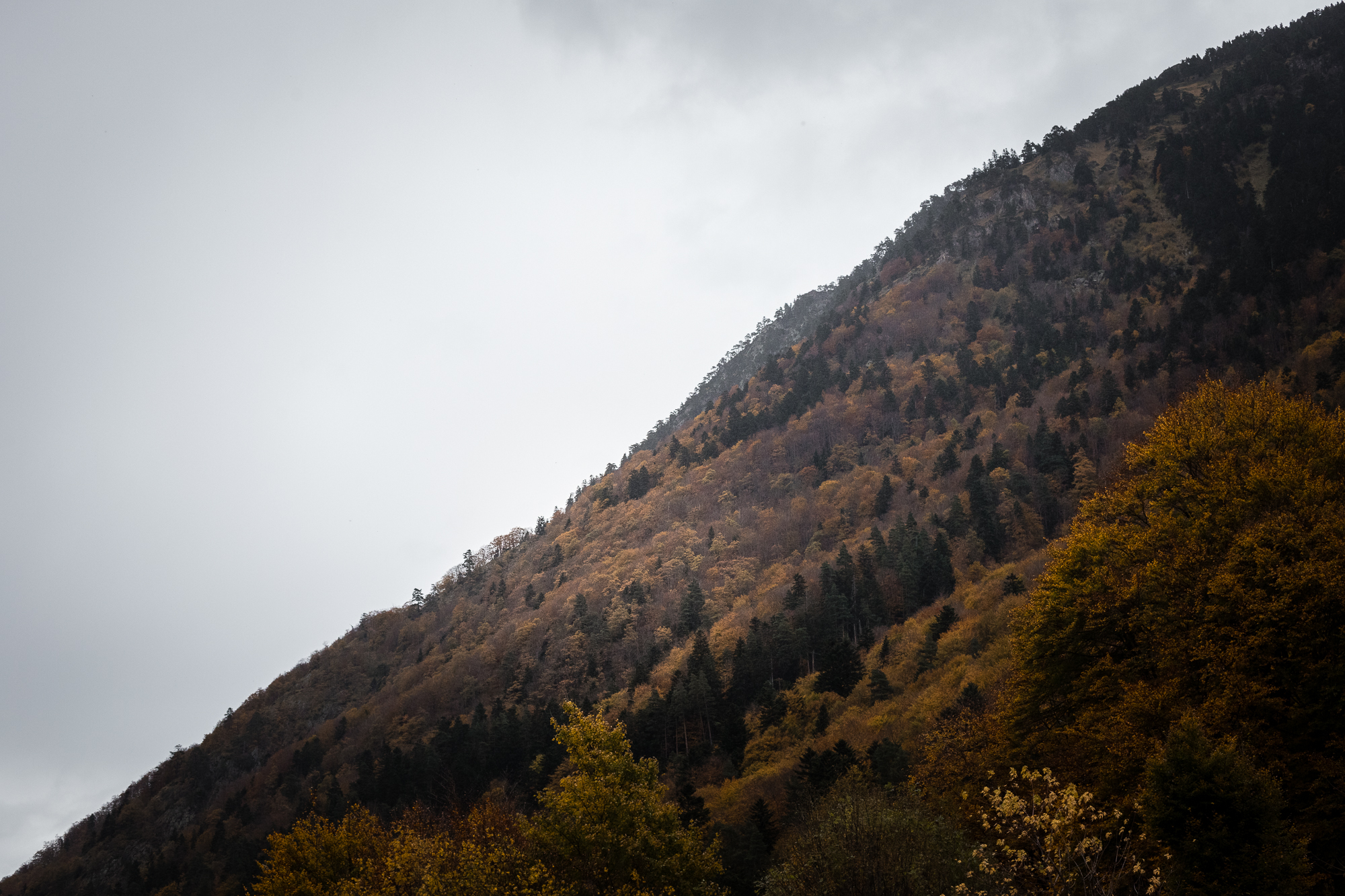 montagne automne pyrénées